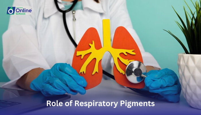 Lesson 07: Role of Respiratory Pigments
